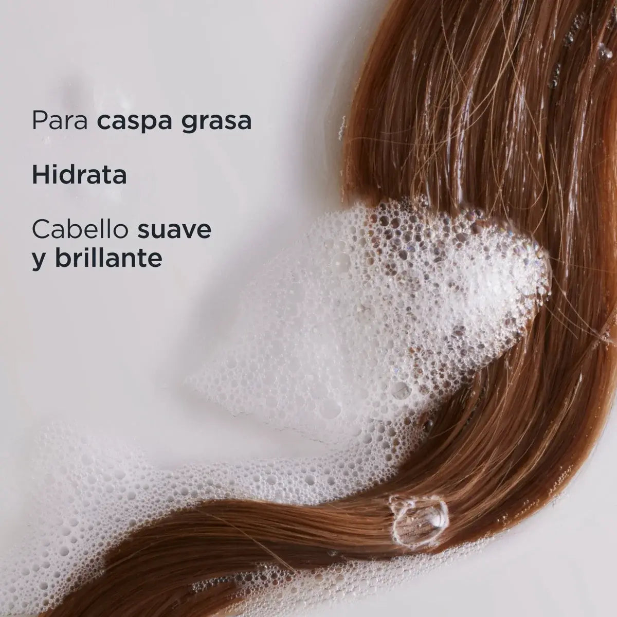 Nutradeica Champú Anticaspa Grasa - ISDIN